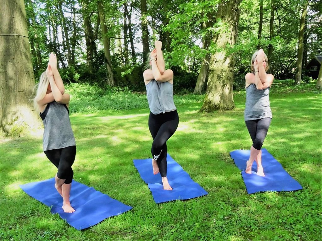 Yoga opleiding Nederland